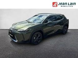 6x4 vert kaki Utilisé 2025 Lexus UX SUV | 40 990 €