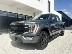 Nouvelle 2025 Ford F-150 XLT Pick-up | 82 670 €