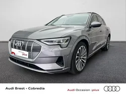 Gris taifun métallisé Utilisé 2019 Audi e-tron Advanced Plus SUV | 39 990 € (Prix juste)