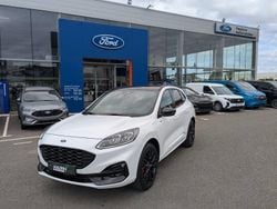 Blanc Occasion 2024 Ford Kuga ST-Line X SUV | 29 890 € (Prix juste)