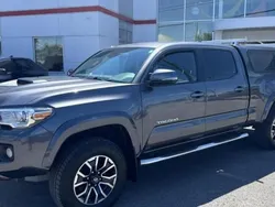Gris Utilisé 2020 Toyota Tacoma Sport Pick-up | 42 717 € (Bon prix)