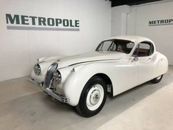 Blanc Utilisé 1952 Jaguar XK Coupé | 79 500 €