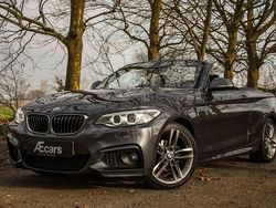Gris Utilisé 2017 BMW 218 M Sport Cabriolet | 24 950 €