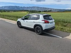 Blanc Utilisé 2019 Peugeot 2008 S SUV | 12 000 € (Prix juste)
