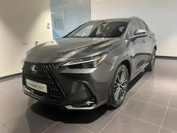 Gris Occasion 2023 Lexus NX450h+ Executive Line SUV | 51 990 € (Prix juste)