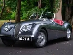 Autres Utilisé 1951 Jaguar XK Cabriolet | 77 233 €