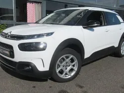 Utilisé 2019 Citroën C4 Cactus Business Class Citadine | 9 990 € (Prix juste)