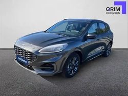 Gris Occasion 2023 Ford Kuga ST-Line X SUV | 31 490 € (Prix assez cher)