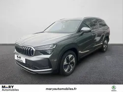 Gris Nouvelle 2024 Skoda Kodiaq Selection SUV | 49 990 € (Prix assez cher)