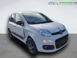 Utilisé 2016 Fiat Panda Citadine | 8 800 € (Super prix)