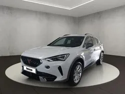 Blanc Utilisé 2024 Cupra Formentor SUV | 32 480 € (Prix assez cher)