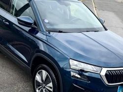 Bleu Utilisé 2023 Skoda Karoq Ambition SUV | 20 000 € (Super prix)