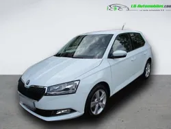 Utilisé 2019 Skoda Fabia Citadine | 15 900 € (Prix juste)