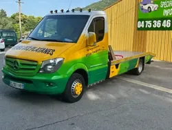 Vert Utilisé 2017 Mercedes Sprinter Van | 30 000 €