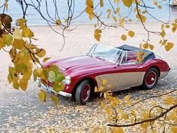 Autres Occasion 1964 Austin Healey 3000 MK II Cabriolet | 45 000 €