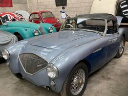 Bleu Occasion 1954 Austin Healey 100 Cabriolet | 29 900 €