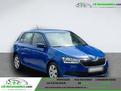 Utilisé 2021 Skoda Fabia Citadine | 18 000 € (Prix juste)