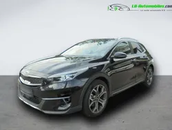 Utilisé 2020 Kia XCeed SUV | 23 800 € (Prix juste)