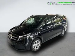 Utilisé 2023 Mercedes V300 Monospace | 76 300 € (Prix juste)
