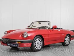 Rouge Utilisé 1988 Alfa Romeo Spider Quadrifoglio Verde Cabriolet | 19 900 €