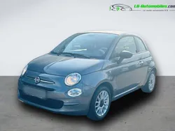 Utilisé 2019 Fiat 500 Citadine | 15 400 € (Prix cher)