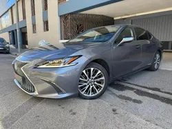 Gris Utilisé 2020 Lexus ES300 Berline | 25 490 €
