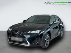 Utilisé 2021 Lexus UX 250h SUV | 29 400 € (Prix juste)