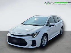 Utilisé 2023 Suzuki Swace Break | 27 100 € (Bon prix)