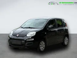 Utilisé 2016 Fiat Panda Citadine | 8 800 € (Prix juste)