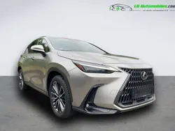 Utilisé 2022 Lexus NX450h+ SUV | 56 500 € (Prix assez cher)