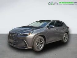 Utilisé 2024 Lexus NX350h | 60 900 € (Prix assez cher)