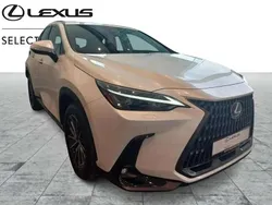 Blanc Utilisé 2025 Lexus NX450h+ Executive Line SUV | 58 973 € (Prix cher)