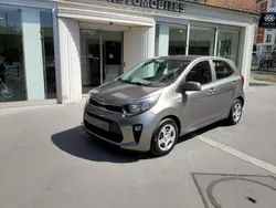 Brun Utilisé 2019 Kia Picanto 2 Citadine | 6 400 € (Prix juste)