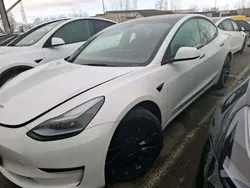 Blanc Utilisé 2021 Tesla Model 3 Performance Berline | 28 500 € (Super prix)