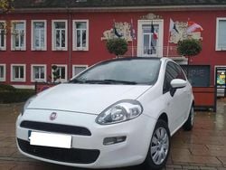 Blanc Utilisé 2013 Fiat Punto Citadine | 5 500 € (Prix juste)