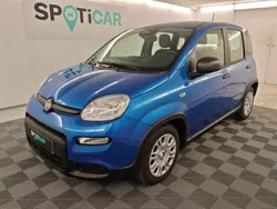 Bleu Utilisé 2025 Fiat Panda Classica Citadine | 15 490 €