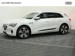 Blanc glacier métallisé Utilisé 2021 Audi e-tron Advanced SUV | 32 480 € (Super prix)