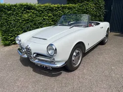 Blanc Utilisé 1962 Alfa Romeo Giulia Cabriolet | 98 750 €