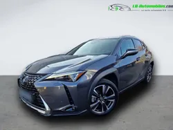 Utilisé 2023 Lexus UX 250h SUV | 35 300 € (Prix juste)