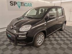 Noir Utilisé 2025 Fiat Panda Classica Citadine | 15 290 € (Prix juste)