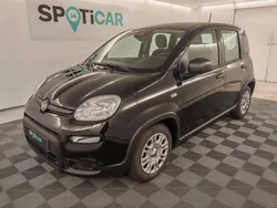 Noir Utilisé 2025 Fiat Panda Classica Citadine | 16 500 €