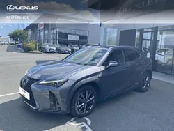 Gris Utilisé 2020 Lexus UX 250h Executive Line SUV | 34 480 € (Prix cher)