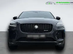 Utilisé 2024 Jaguar E-Pace SUV | 51 000 € (Prix assez cher)