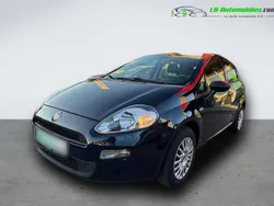 Utilisé 2017 Fiat Punto Citadine | 11 800 € (Prix assez cher)