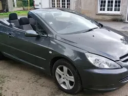 Gris Utilisé 2004 Peugeot 307 CC Cabriolet | 3 450 €