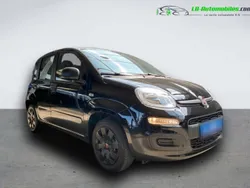 Utilisé 2016 Fiat Panda Citadine | 12 400 € (Prix cher)