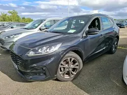 Noir Utilisé 2022 Ford Kuga ST-Line SUV | 18 960 € (Bon prix)
