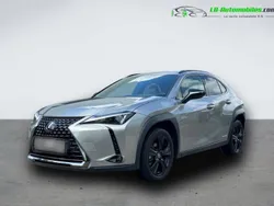 Utilisé 2023 Lexus UX 250h SUV | 33 800 € (Super prix)