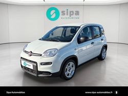 Utilisé 2023 Fiat Panda S Citadine | 9 790 € (Bon prix)