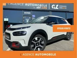 Blanc Utilisé 2019 Citroën C4 Cactus Shine Citadine | 11 900 € (Bon prix)